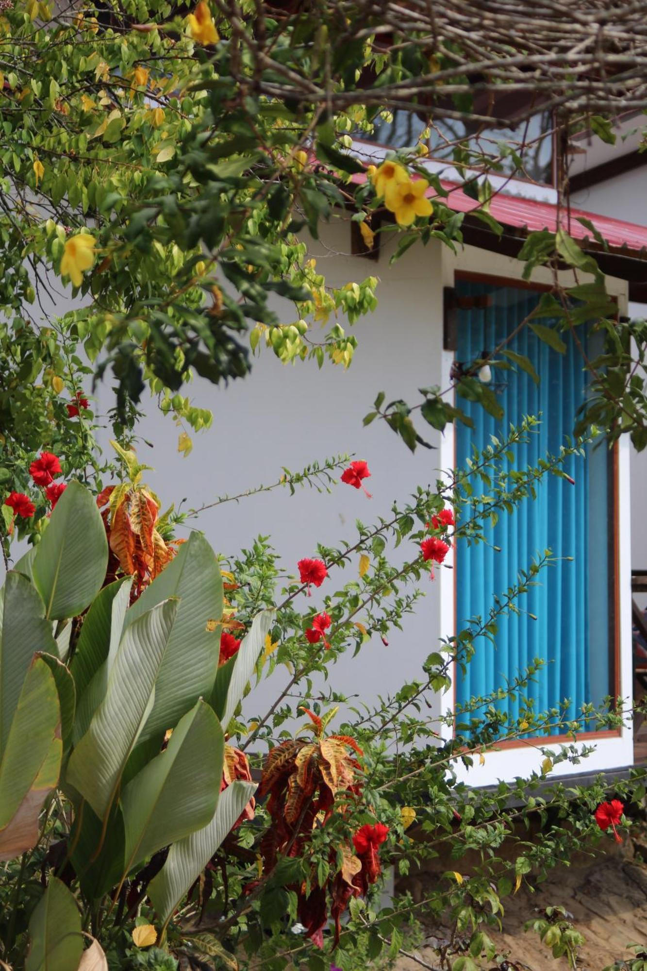 Hacienda Don Vicente Bungalows-Тарапото Экстерьер фото